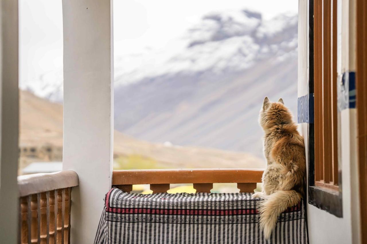 Zostel Spiti Hostel Kaza Luaran gambar